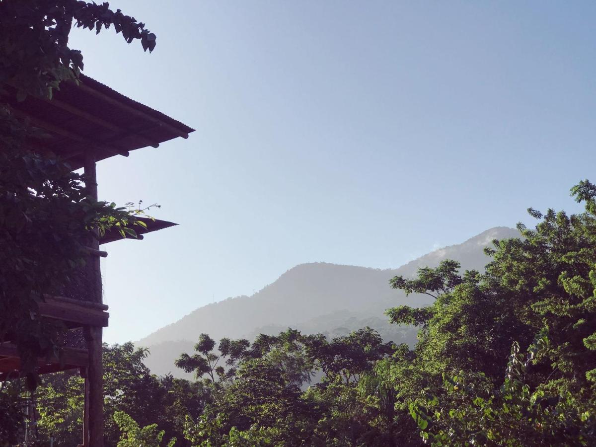 The Valley Tayrona Hostel- A Social Jungle Hostel El Zaino Exteriér fotografie