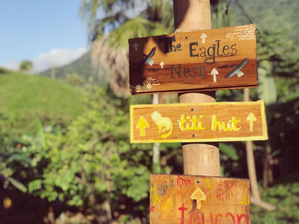 The Valley Tayrona Hostel- A Social Jungle Hostel El Zaino Exteriér fotografie