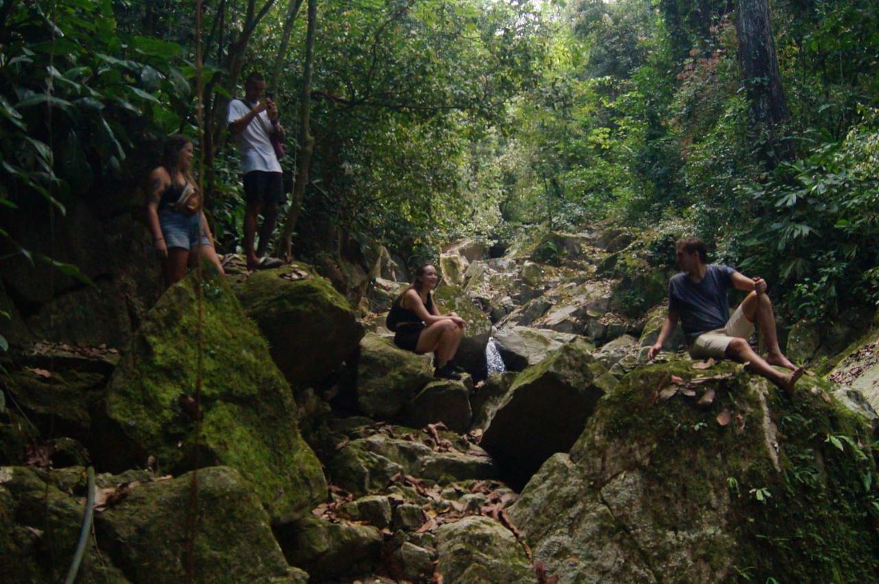 The Valley Tayrona Hostel- A Social Jungle Hostel El Zaino Exteriér fotografie