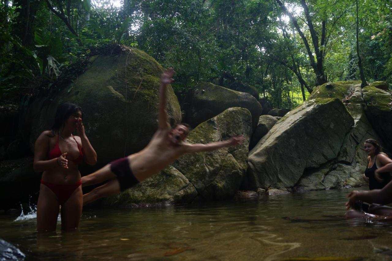 The Valley Tayrona Hostel- A Social Jungle Hostel El Zaino Exteriér fotografie
