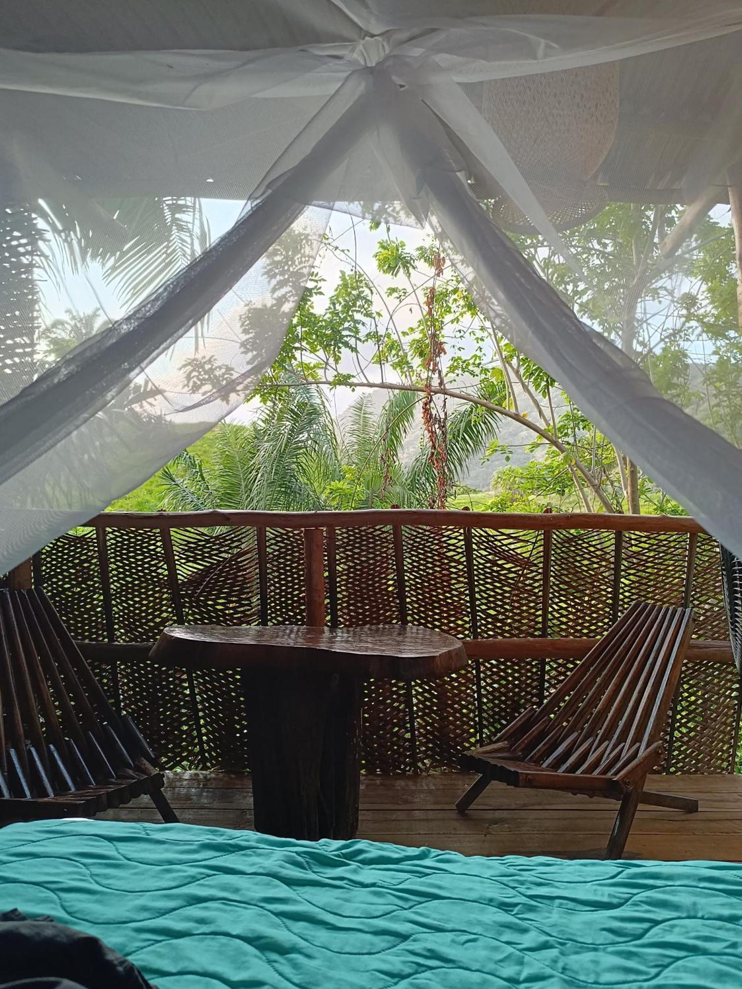 The Valley Tayrona Hostel- A Social Jungle Hostel El Zaino Exteriér fotografie