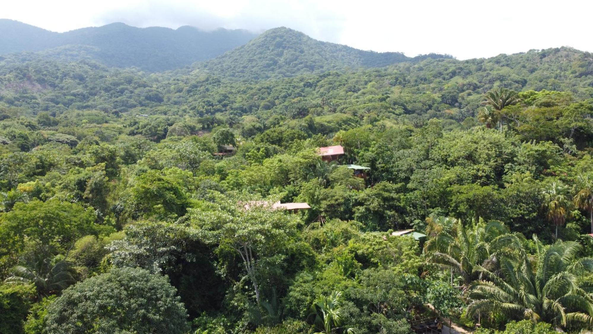 The Valley Tayrona Hostel- A Social Jungle Hostel El Zaino Exteriér fotografie