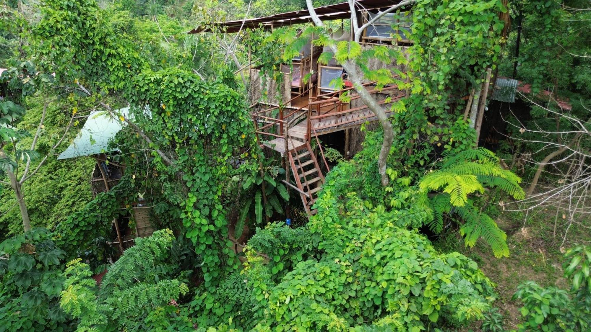The Valley Tayrona Hostel- A Social Jungle Hostel El Zaino Exteriér fotografie