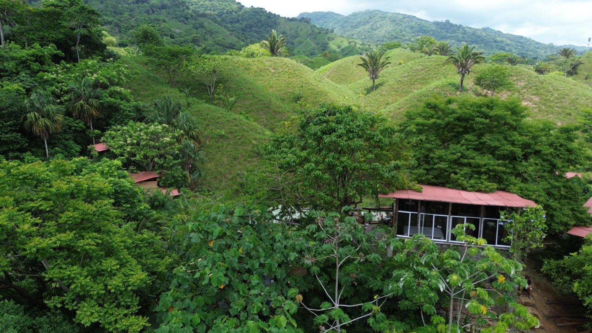 The Valley Tayrona Hostel- A Social Jungle Hostel El Zaino Exteriér fotografie