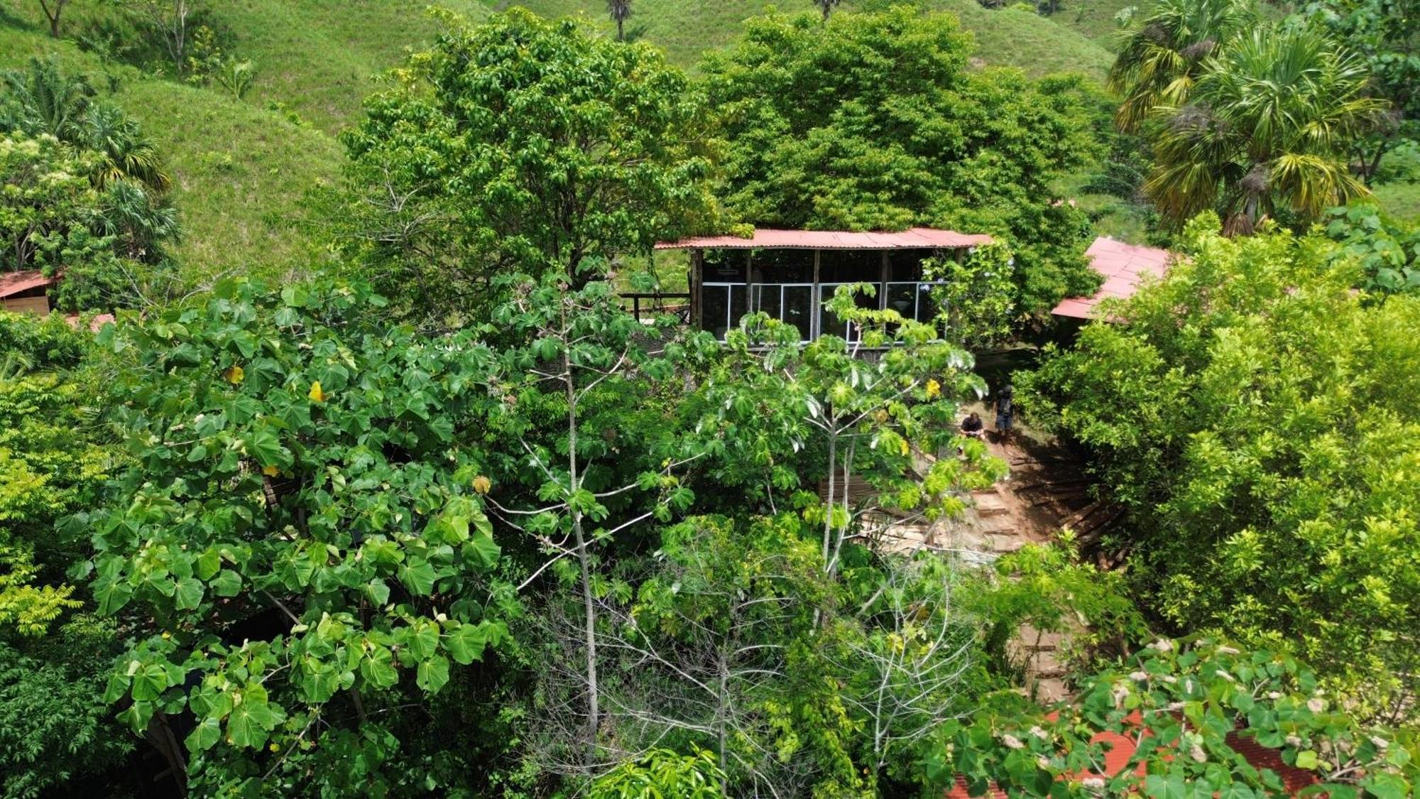 The Valley Tayrona Hostel- A Social Jungle Hostel El Zaino Exteriér fotografie