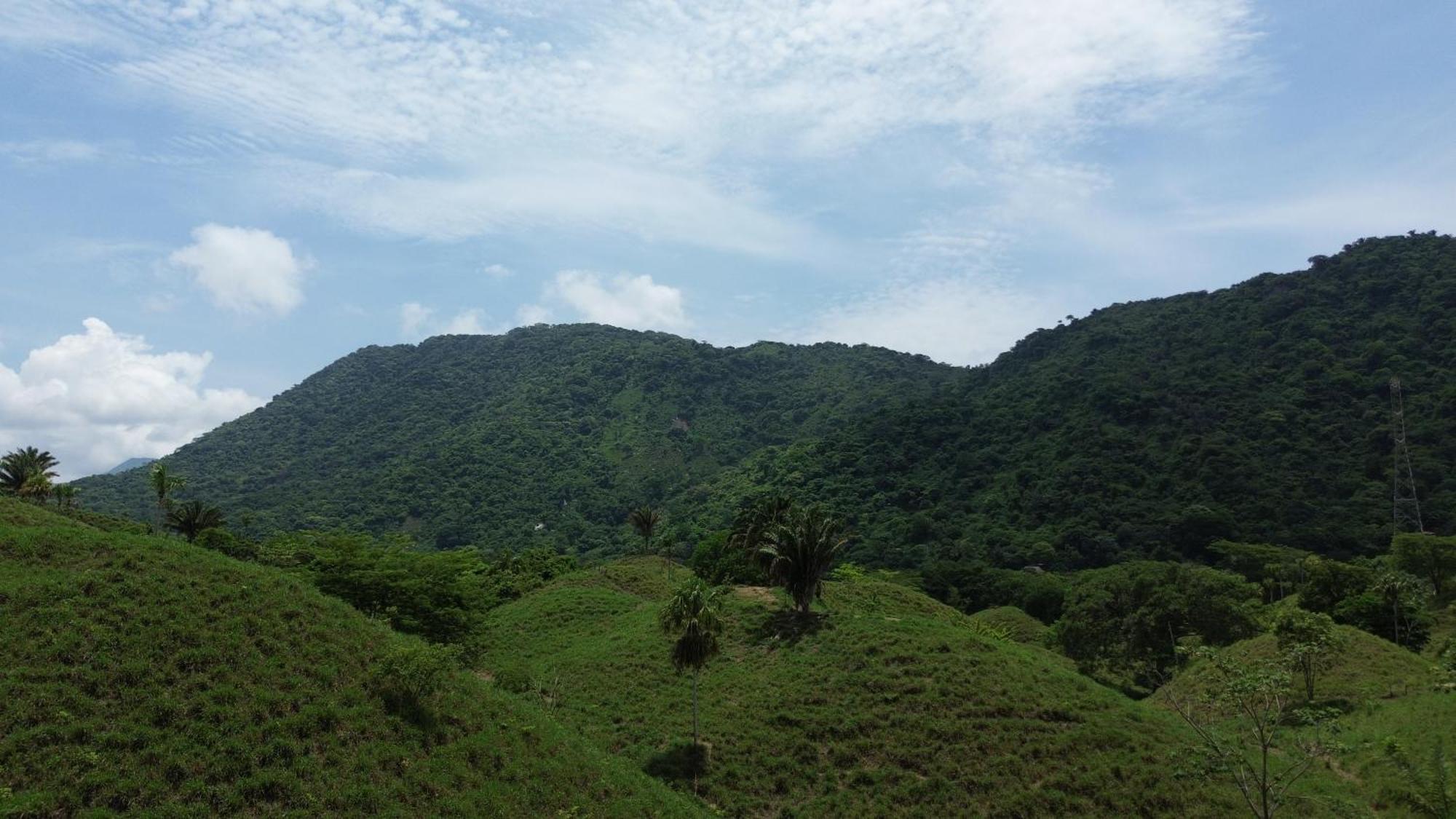The Valley Tayrona Hostel- A Social Jungle Hostel El Zaino Exteriér fotografie