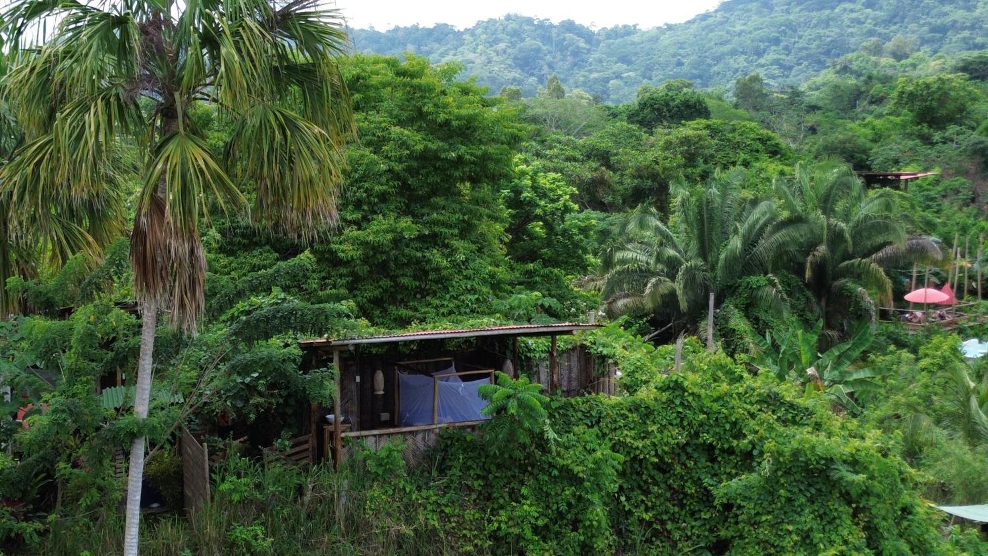 The Valley Tayrona Hostel- A Social Jungle Hostel El Zaino Exteriér fotografie