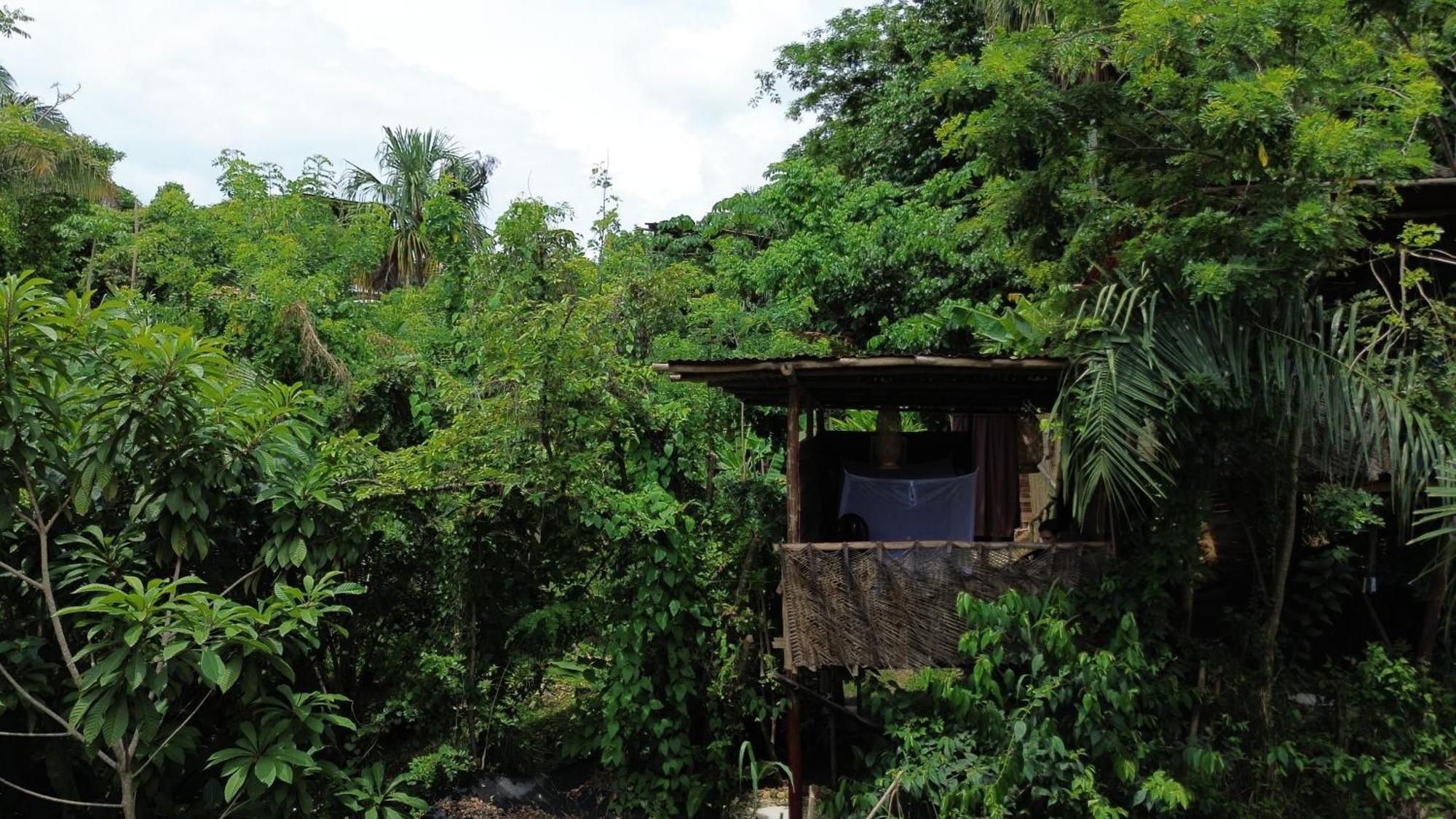 The Valley Tayrona Hostel- A Social Jungle Hostel El Zaino Exteriér fotografie