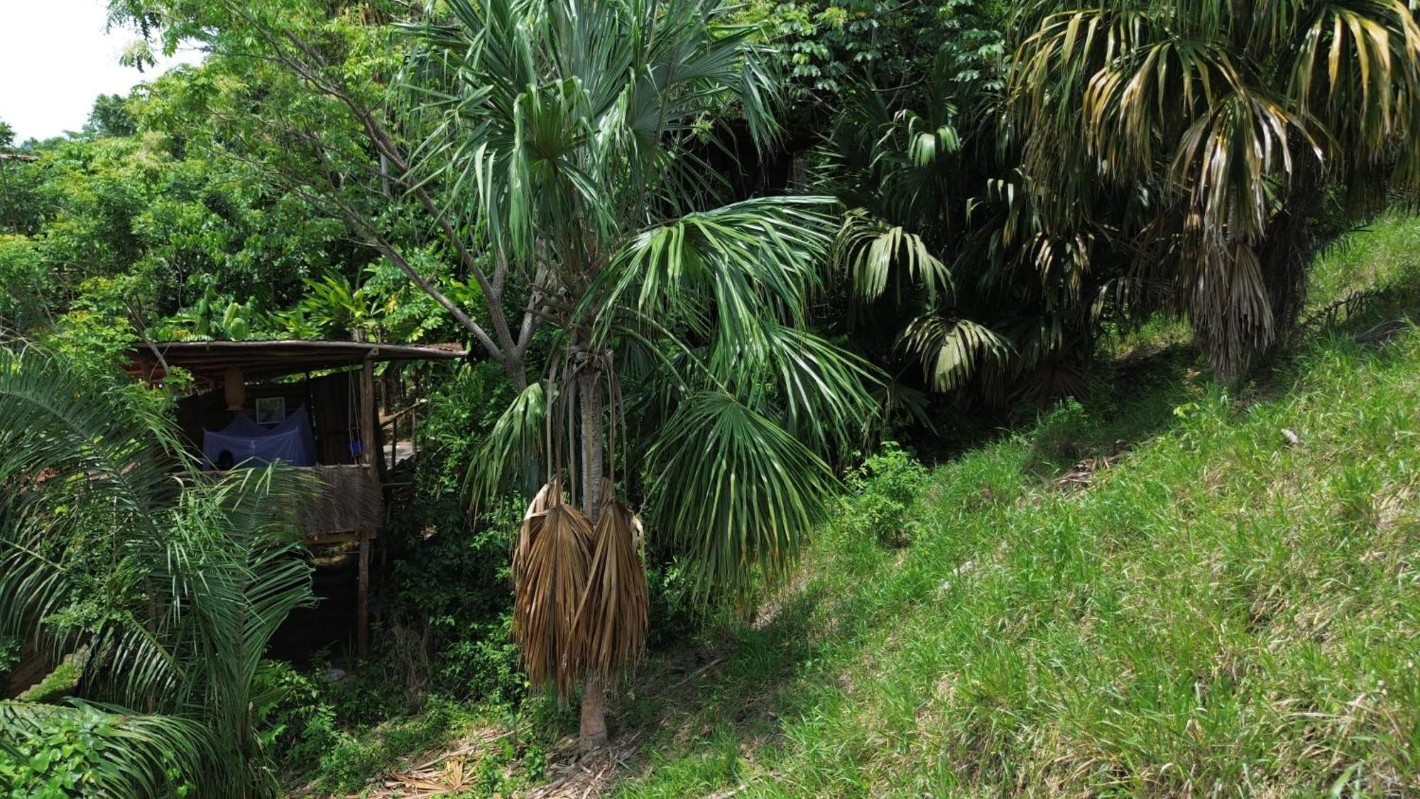 The Valley Tayrona Hostel- A Social Jungle Hostel El Zaino Exteriér fotografie