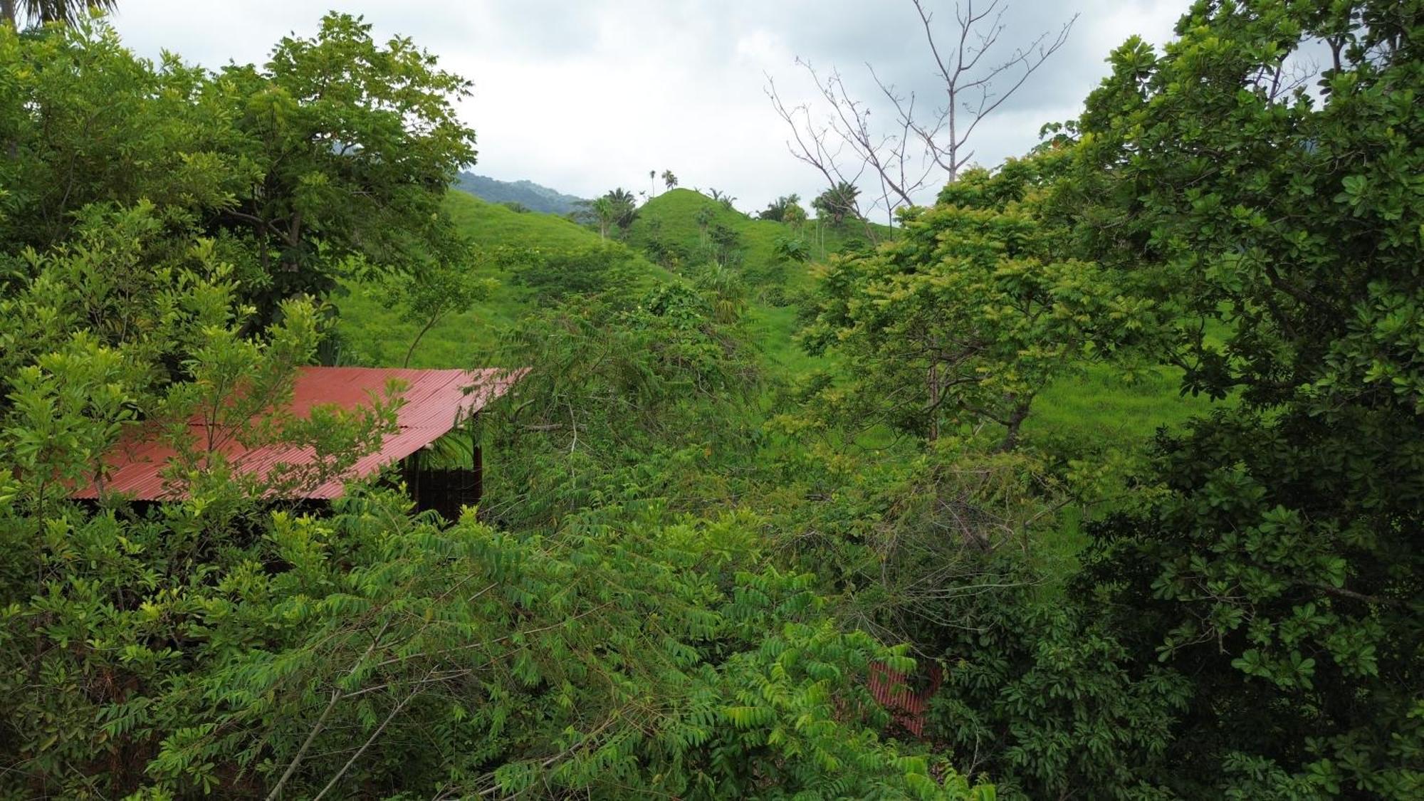The Valley Tayrona Hostel- A Social Jungle Hostel El Zaino Exteriér fotografie