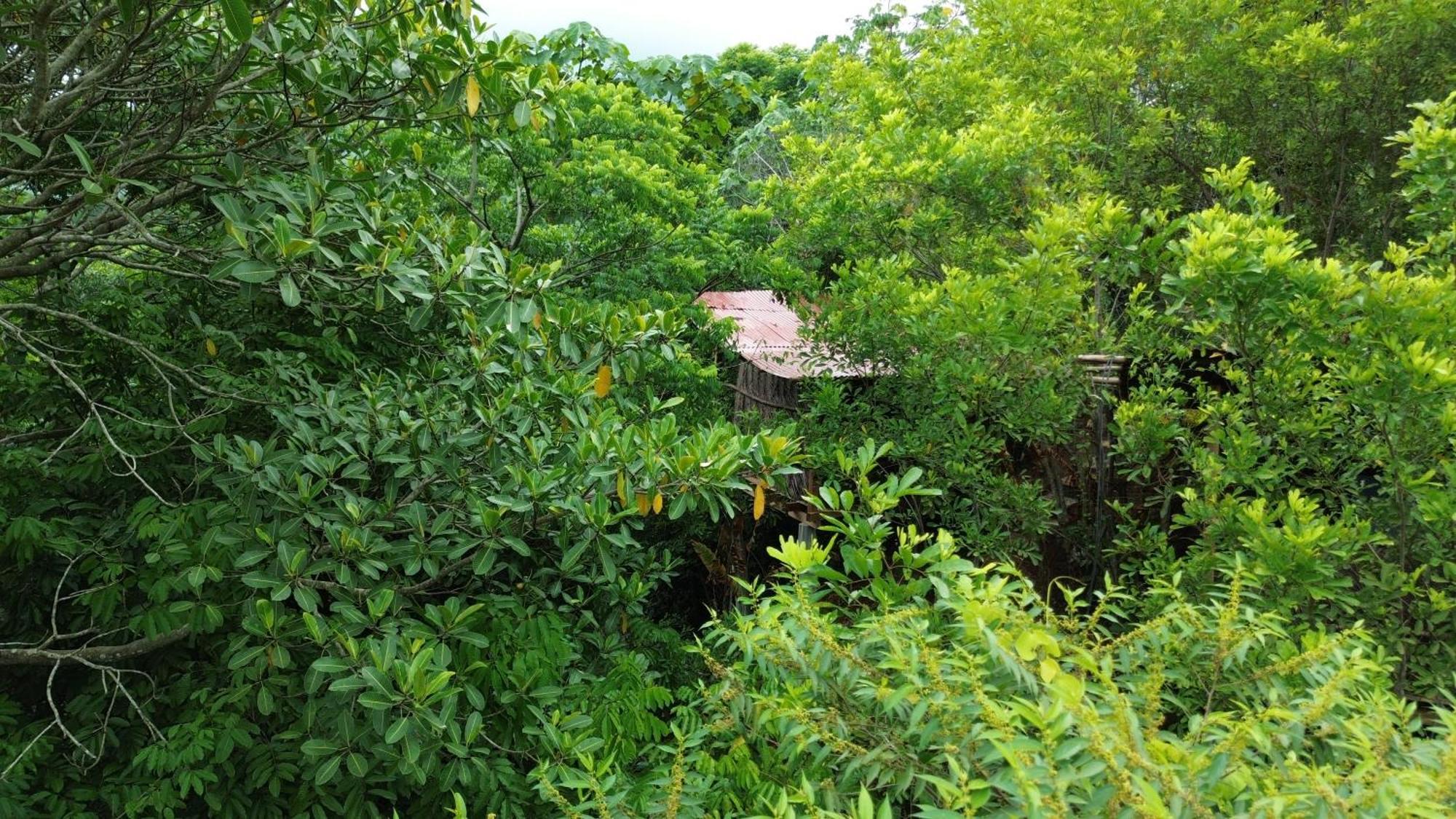 The Valley Tayrona Hostel- A Social Jungle Hostel El Zaino Exteriér fotografie